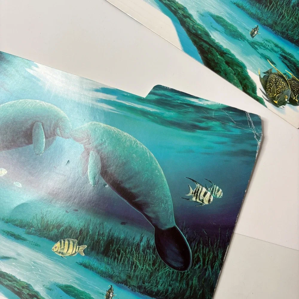 VTG 2005 Y2K Wyland Manatee File Folders Set of 3 Ocean‎ Art Retro Office School